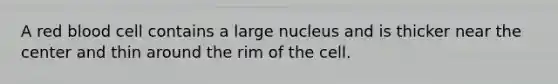 A red blood cell contains a large nucleus and is thicker near the center and thin around the rim of the cell.