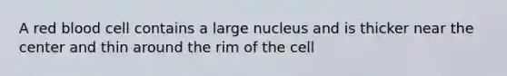 A red blood cell contains a large nucleus and is thicker near the center and thin around the rim of the cell