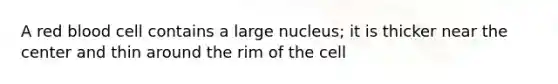 A red blood cell contains a large nucleus; it is thicker near the center and thin around the rim of the cell