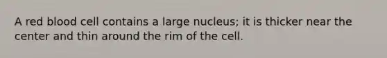 A red blood cell contains a large nucleus; it is thicker near the center and thin around the rim of the cell.