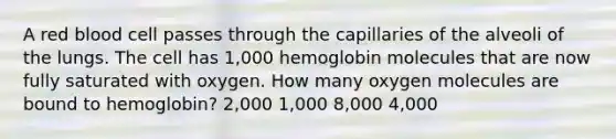 A red blood cell passes through the capillaries of the alveoli of the lungs. The cell has 1,000 hemoglobin molecules that are now fully saturated with oxygen. How many oxygen molecules are bound to hemoglobin? 2,000 1,000 8,000 4,000