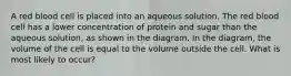 A red blood cell is placed into an aqueous solution. The red blood cell has a lower concentration of protein and sugar than the aqueous solution, as shown in the diagram. In the diagram, the volume of the cell is equal to the volume outside the cell. What is most likely to occur?