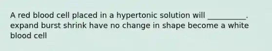 A red blood cell placed in a hypertonic solution will __________. expand burst shrink have no change in shape become a white blood cell