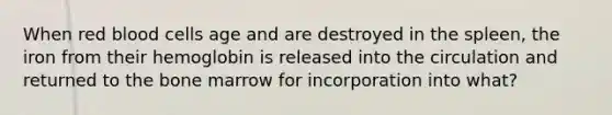 When red blood cells age and are destroyed in the spleen, the iron from their hemoglobin is released into the circulation and returned to the bone marrow for incorporation into what?