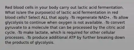 Red blood cells in your body carry out lactic acid fermentation. What is/are the purpose(s) of lactic acid fermentation in red blood cells? Select ALL that apply. -To regenerate NAD+. -To allow glycolysis to continue when oxygen is not available. -To convert pyruvate to a molecule that can be processed by the citric acid cycle. -To make lactate, which is required for other cellular processes. -To produce additional ATP by further breaking down the products of glycolysis.