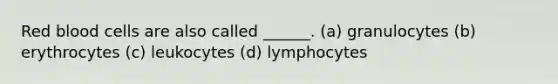 Red blood cells are also called ______. (a) granulocytes (b) erythrocytes (c) leukocytes (d) lymphocytes