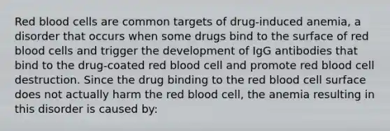 Red blood cells are common targets of drug-induced anemia, a disorder that occurs when some drugs bind to the surface of red blood cells and trigger the development of IgG antibodies that bind to the drug-coated red blood cell and promote red blood cell destruction. Since the drug binding to the red blood cell surface does not actually harm the red blood cell, the anemia resulting in this disorder is caused by: