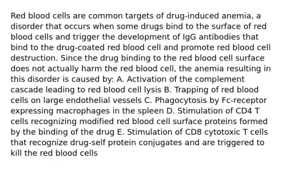 Red blood cells are common targets of drug-induced anemia, a disorder that occurs when some drugs bind to the surface of red blood cells and trigger the development of IgG antibodies that bind to the drug-coated red blood cell and promote red blood cell destruction. Since the drug binding to the red blood cell surface does not actually harm the red blood cell, the anemia resulting in this disorder is caused by: A. Activation of the complement cascade leading to red blood cell lysis B. Trapping of red blood cells on large endothelial vessels C. Phagocytosis by Fc-receptor expressing macrophages in the spleen D. Stimulation of CD4 T cells recognizing modified red blood cell surface proteins formed by the binding of the drug E. Stimulation of CD8 cytotoxic T cells that recognize drug-self protein conjugates and are triggered to kill the red blood cells