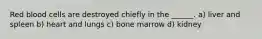 Red blood cells are destroyed chiefly in the ______. a) liver and spleen b) heart and lungs c) bone marrow d) kidney