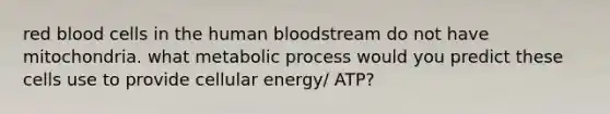 red blood cells in the human bloodstream do not have mitochondria. what metabolic process would you predict these cells use to provide cellular energy/ ATP?