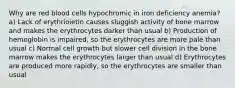 Why are red blood cells hypochromic in iron deficiency anemia? a) Lack of erythrioietin causes sluggish activity of bone marrow and makes the erythrocytes darker than usual b) Production of hemoglobin is impaired, so the erythrocytes are more pale than usual c) Normal cell growth but slower cell division in the bone marrow makes the erythrocytes larger than usual d) Erythrocytes are produced more rapidly, so the erythrocytes are smaller than usual