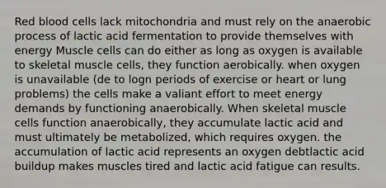 Red blood cells lack mitochondria and must rely on the anaerobic process of lactic acid fermentation to provide themselves with energy Muscle cells can do either as long as oxygen is available to skeletal muscle cells, they function aerobically. when oxygen is unavailable (de to logn periods of exercise or heart or lung problems) the cells make a valiant effort to meet energy demands by functioning anaerobically. When skeletal muscle cells function anaerobically, they accumulate lactic acid and must ultimately be metabolized, which requires oxygen. the accumulation of lactic acid represents an oxygen debtlactic acid buildup makes muscles tired and lactic acid fatigue can results.