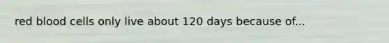 red blood cells only live about 120 days because of...