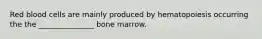 Red blood cells are mainly produced by hematopoiesis occurring the the _______________ bone marrow.