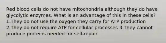 Red blood cells do not have mitochondria although they do have glycolytic enzymes. What is an advantage of this in these cells? 1.They do not use the oxygen they carry for ATP production 2.They do not require ATP for cellular processes 3.They cannot produce proteins needed for self-repair