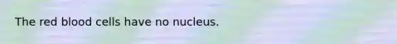 The red blood cells have no nucleus.