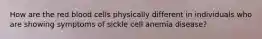 How are the red blood cells physically different in individuals who are showing symptoms of sickle cell anemia disease?