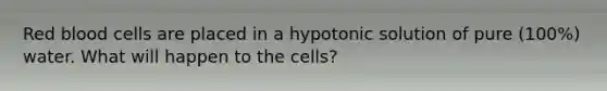 Red blood cells are placed in a hypotonic solution of pure (100%) water. What will happen to the cells?