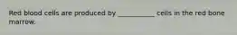 Red blood cells are produced by ___________ cells in the red bone marrow.