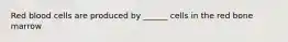 Red blood cells are produced by ______ cells in the red bone marrow