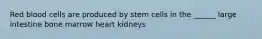 Red blood cells are produced by stem cells in the ______ large intestine bone marrow heart kidneys