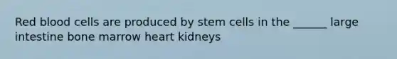 Red blood cells are produced by stem cells in the ______ large intestine bone marrow heart kidneys