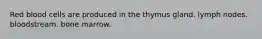Red blood cells are produced in the thymus gland. lymph nodes. bloodstream. bone marrow.