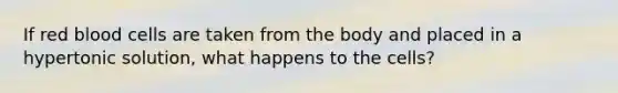 If red blood cells are taken from the body and placed in a hypertonic solution, what happens to the cells?