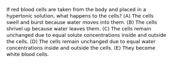 If red blood cells are taken from the body and placed in a hypertonic solution, what happens to the cells? (A) The cells swell and burst because water moves into them. (B) The cells shrivel up because water leaves them. (C) The cells remain unchanged due to equal solute concentrations inside and outside the cells. (D) The cells remain unchanged due to equal water concentrations inside and outside the cells. (E) They become white blood cells.