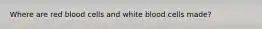 Where are red blood cells and white blood cells made?