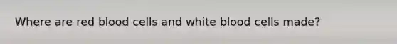 Where are red blood cells and white blood cells made?