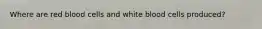 Where are red blood cells and white blood cells produced?