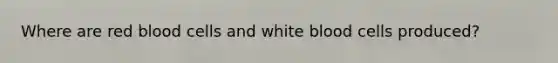 Where are red blood cells and white blood cells produced?