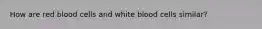 How are red blood cells and white blood cells similar?