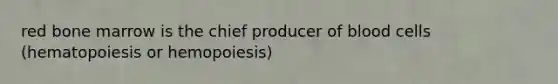 red bone marrow is the chief producer of blood cells (hematopoiesis or hemopoiesis)