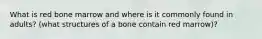 What is red bone marrow and where is it commonly found in adults? (what structures of a bone contain red marrow)?