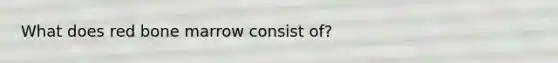 What does red bone marrow consist of?