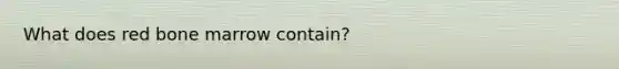 What does red bone marrow contain?