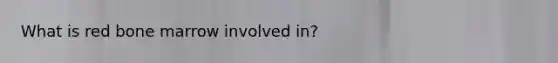 What is red bone marrow involved in?