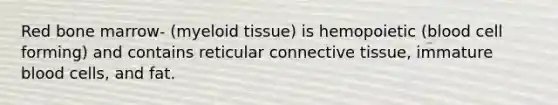 Red bone marrow- (myeloid tissue) is hemopoietic (blood cell forming) and contains reticular connective tissue, immature blood cells, and fat.