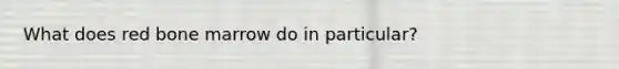 What does red bone marrow do in particular?