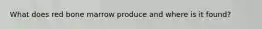 What does red bone marrow produce and where is it found?