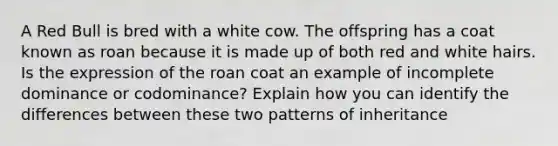 A Red Bull is bred with a white cow. The offspring has a coat known as roan because it is made up of both red and white hairs. Is the expression of the roan coat an example of incomplete dominance or codominance? Explain how you can identify the differences between these two patterns of inheritance