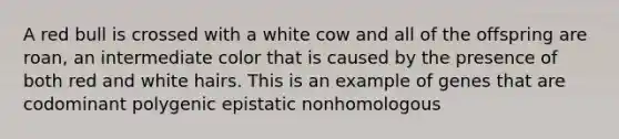 A red bull is crossed with a white cow and all of the offspring are roan, an intermediate color that is caused by the presence of both red and white hairs. This is an example of genes that are codominant polygenic epistatic nonhomologous