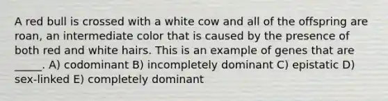 A red bull is crossed with a white cow and all of the offspring are roan, an intermediate color that is caused by the presence of both red and white hairs. This is an example of genes that are _____. A) codominant B) incompletely dominant C) epistatic D) sex-linked E) completely dominant