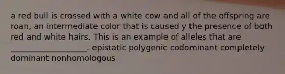 a red bull is crossed with a white cow and all of the offspring are roan, an intermediate color that is caused y the presence of both red and white hairs. This is an example of alleles that are ___________________. epistatic polygenic codominant completely dominant nonhomologous