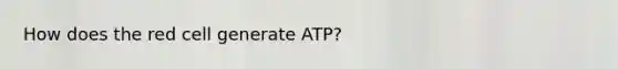 How does the red cell generate ATP?