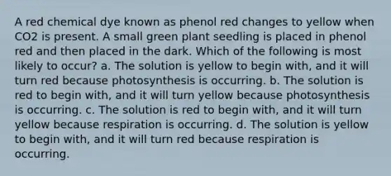 A red chemical dye known as phenol red changes to yellow when CO2 is present. A small green plant seedling is placed in phenol red and then placed in the dark. Which of the following is most likely to occur? a. The solution is yellow to begin with, and it will turn red because photosynthesis is occurring. b. The solution is red to begin with, and it will turn yellow because photosynthesis is occurring. c. The solution is red to begin with, and it will turn yellow because respiration is occurring. d. The solution is yellow to begin with, and it will turn red because respiration is occurring.