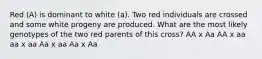 Red (A) is dominant to white (a). Two red individuals are crossed and some white progeny are produced. What are the most likely genotypes of the two red parents of this cross? AA x Aa AA x aa aa x aa Aa x aa Aa x Aa