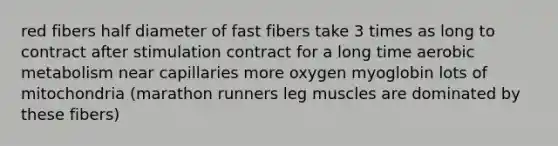 red fibers half diameter of fast fibers take 3 times as long to contract after stimulation contract for a long time aerobic metabolism near capillaries more oxygen myoglobin lots of mitochondria (marathon runners leg muscles are dominated by these fibers)